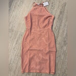 Endless Rose Coral Mesh Net Dress